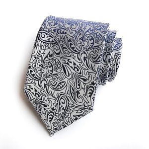 Fashion Paisley Tie and Pocket Square Set